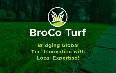 News The Importance of Top-Quality Turf Equipment for Professional Turf Care in South Africa
