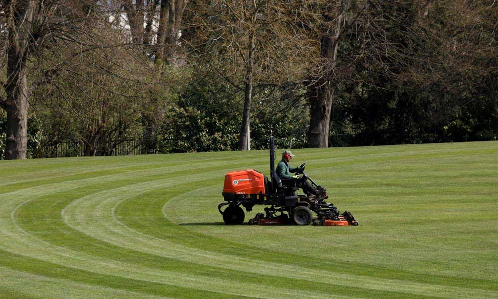 Outstanding-Rotary-Cut-Quality